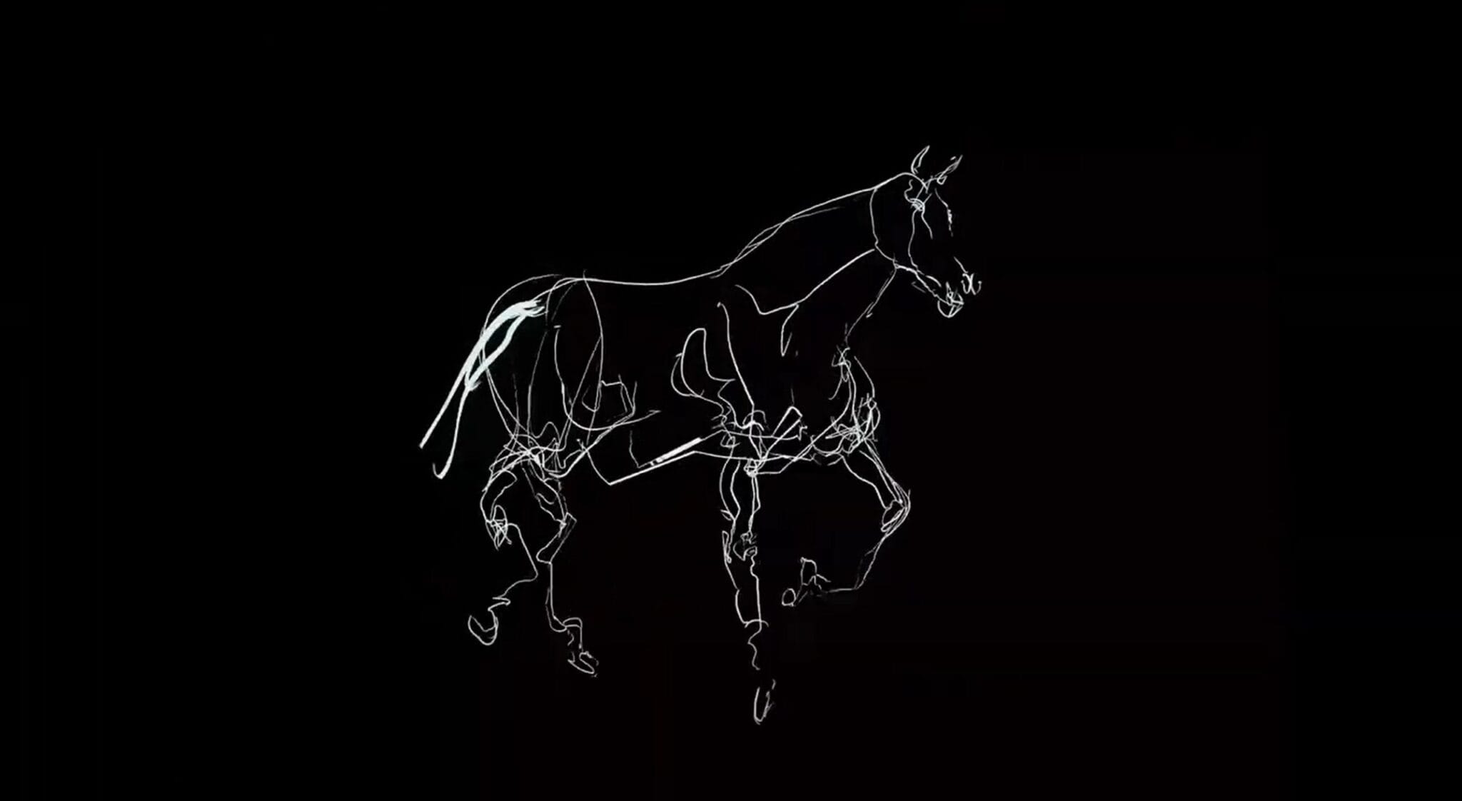 Animated horse drawn in white lines on black, Anima Fer Chan
