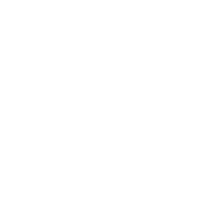 Promax Awards statuette