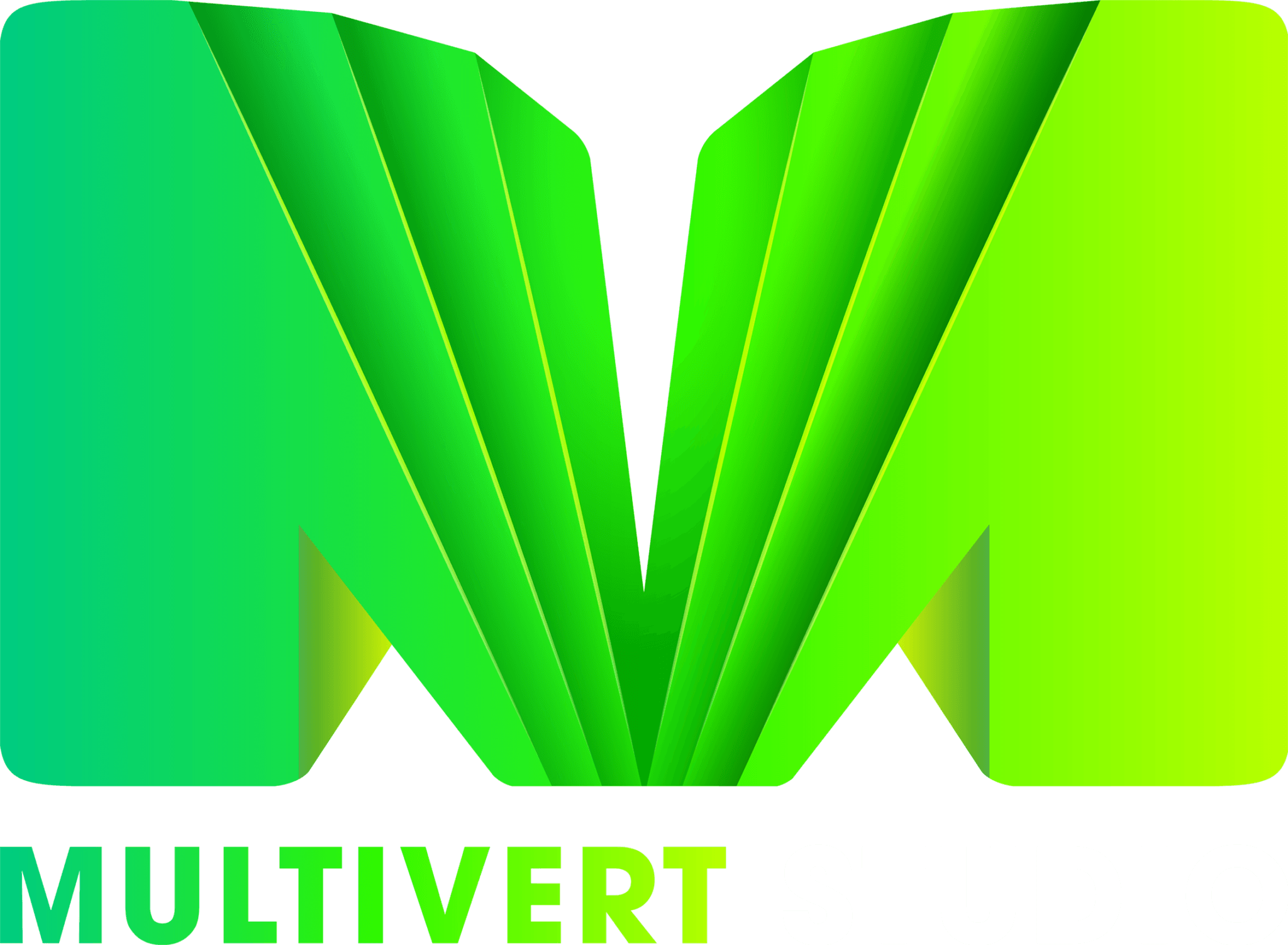Multivert Studio logo